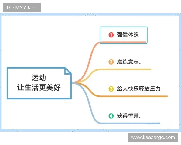 坚持每日运动打造健康体魄提升生活品质与身心全面发展的科学之道