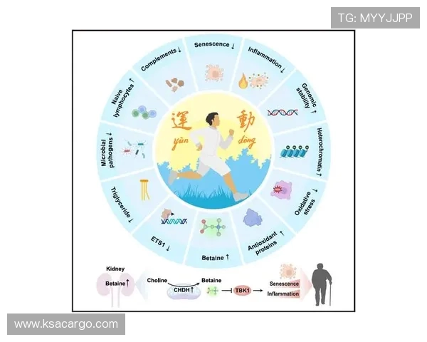 提升身体素质与运动技能的有效方法与科学原理解析