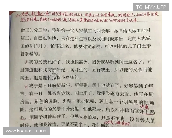 《篮球巨星崛起之路:从青涩少年到世界舞台的辉煌历程》