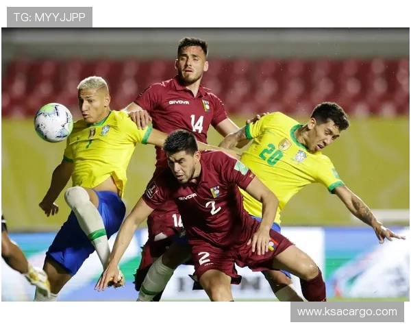 武汉排球队世界杯预选赛精彩配合展现团队精神与竞技水平