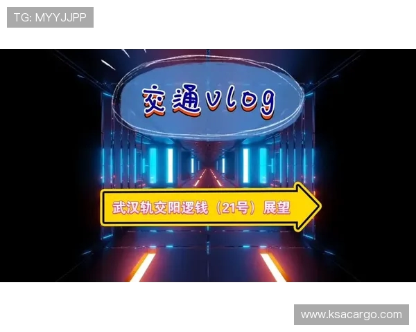 武汉飞盘队实力对比深度解析与未来发展展望