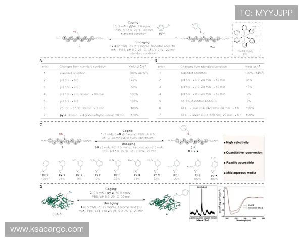 深入探讨北京飞盘队战术表现的数据分析与策略优化