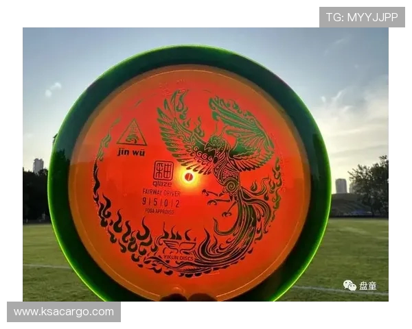 飞盘新手必看：从基础技巧到实战应用的全面入门指南