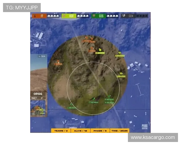 Twisted Minds绝地求生战队全新赛季表现与未来发展深度解析